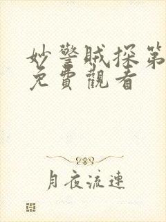 妙警贼探第六季免费观看