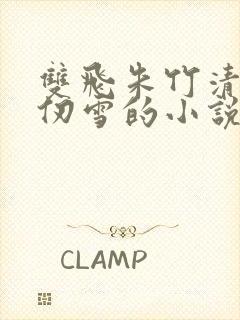 双飞朱竹清和千仞雪的小说