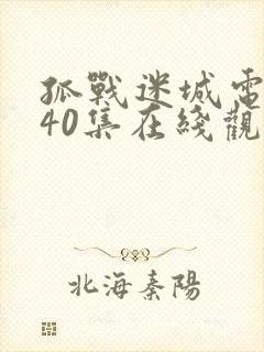 孤战迷城电视剧40集在线观看免费高清