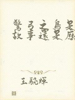 惊弓之鸟是寓言故事还是历史故事