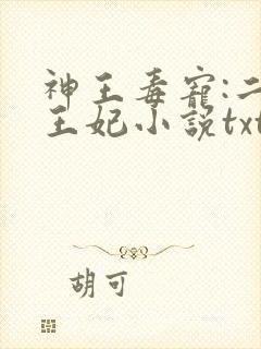 神王毒宠:二嫁王妃小说txt