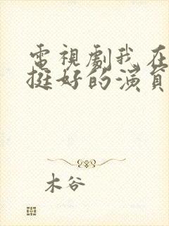 电视剧我在他乡挺好的演员表