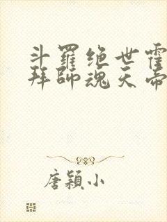 斗罗绝世霍雨浩拜师魂天帝封面