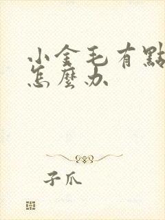 小金毛有点拉稀怎么办