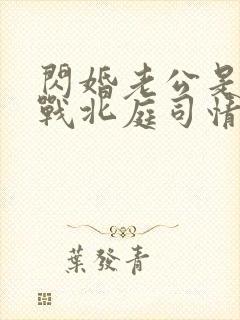 闪婚老公是豪门战北庭司情短剧