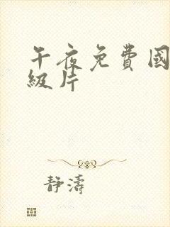 午夜免费国产一级片封面