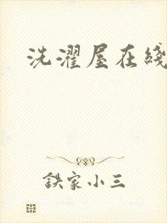 洗濯屋在线看