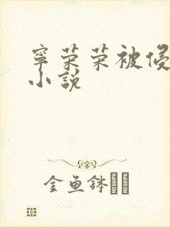 宁荣荣被侵犯的小说