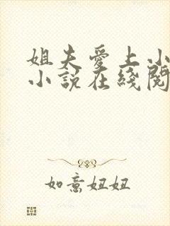 姐夫爱上小姨的小说在线阅读封面