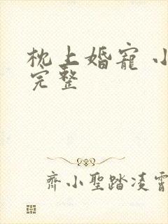 枕上婚宠 小说完整