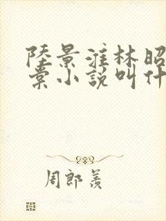 陆景淮林昭沈千棠小说叫什么名字