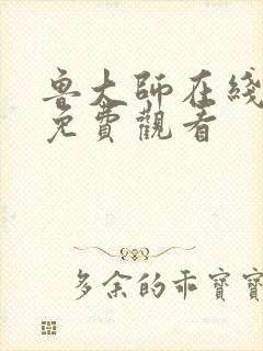 鲁大师在线播放免费观看