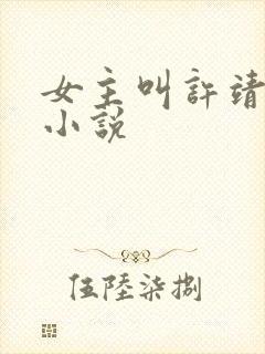 女主叫许靖央的小说