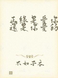 正缘是爱你的人还是你爱的人封面