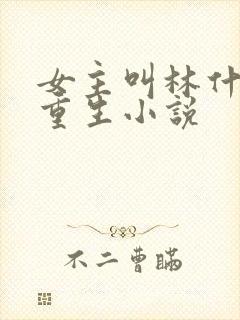 女主叫林什么的重生小说封面