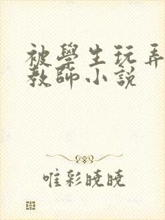 被学生玩弄的女教师小说