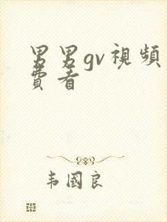 男男gv视频免费看