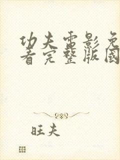 功夫电影免费观看完整版国语高清