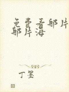 免费看那片星空那片海