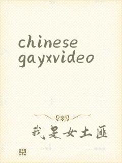 chinesegayxvideo