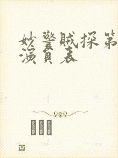 妙警贼探第二季演员表封面