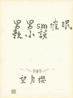 男男sm催眠调教小说