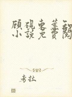 顾砚东叶知安的小说免费阅读全文