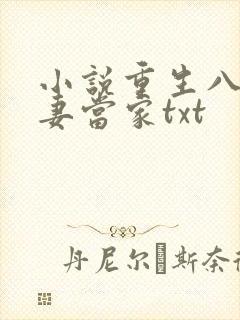小说重生八零辣妻当家txt封面