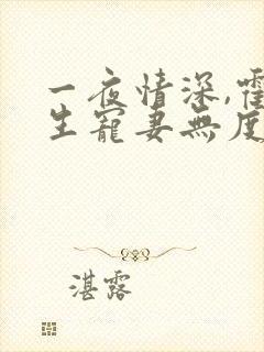 一夜情深,霍先生宠妻无度网络小说