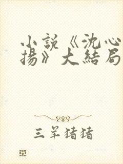 小说《沈心窈祁扬》大结局