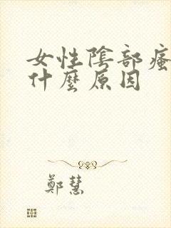 女性阴部瘙痒是什么原因封面