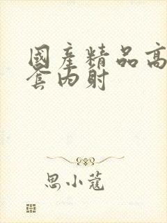 国产精品高潮无套内射