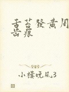 舌苔发黄周边有齿痕