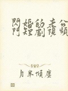 闪婚的老公是豪门短剧视频全集