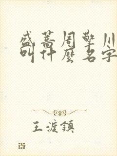 盛蔷周擎川小说叫什么名字