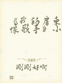 《我的房东是偶像歌手》小说