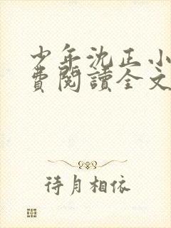 少年沈正小说免费阅读全文