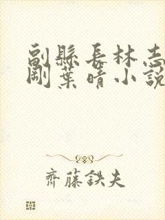 副县长林志强邓刚叶晴小说全文阅读