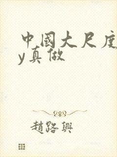 中国大尺度gay真做