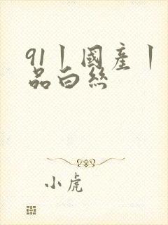 91丨国产丨精品白丝