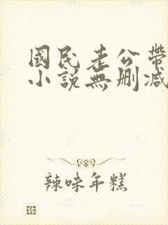 国民老公带回家小说无删减