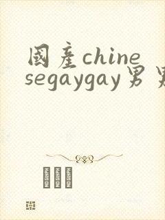 国产chinesegaygay男男网站