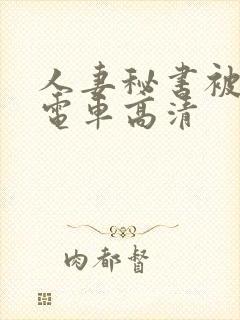 人妻秘书被痴汉电车高清