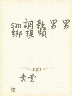 sm调教男男捆绑视频