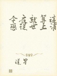 今夜就算这份爱恋从世上消失小说封面