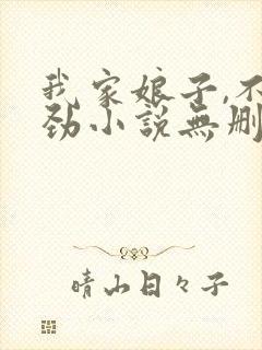我家娘子,不对劲小说无删减封面