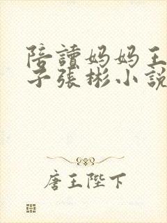 陪读妈妈王荷儿子张彬小说