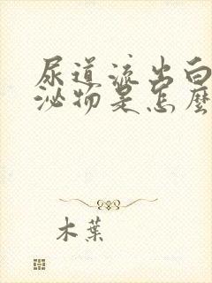 尿道流出白色分泌物是怎么回事