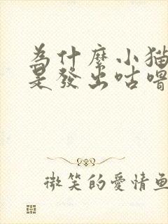 为什么小猫咪总是发出咕噜咕噜的声音封面