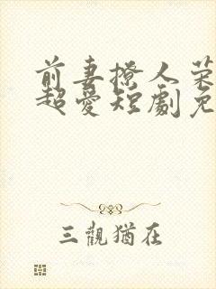 前妻撩人荣总他超爱短剧免费观看